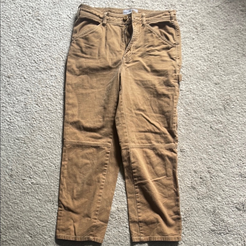 Everlane Straight Leg Carpenter pants